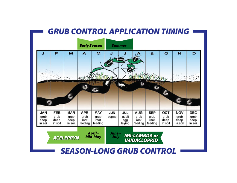 GRUB control timing
